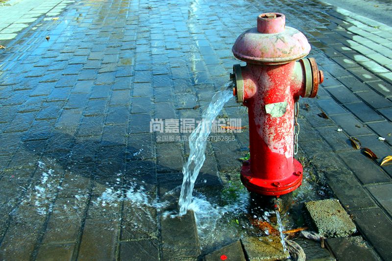 1684321093359802.jpg 213324myu2nuvcuenr0cci.jpg